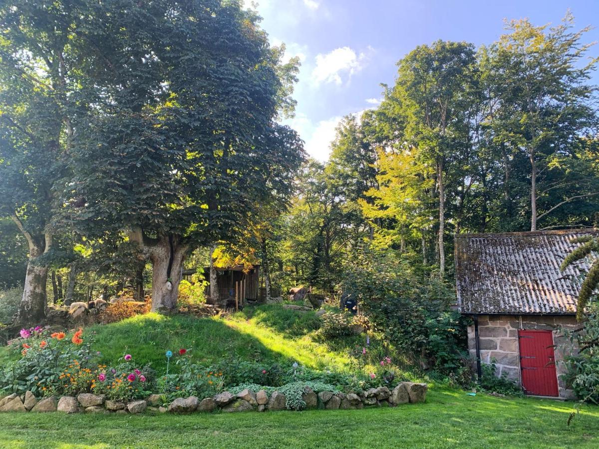 Farm Stay Happy Dogs Ranch Veberöd Zewnętrze zdjęcie