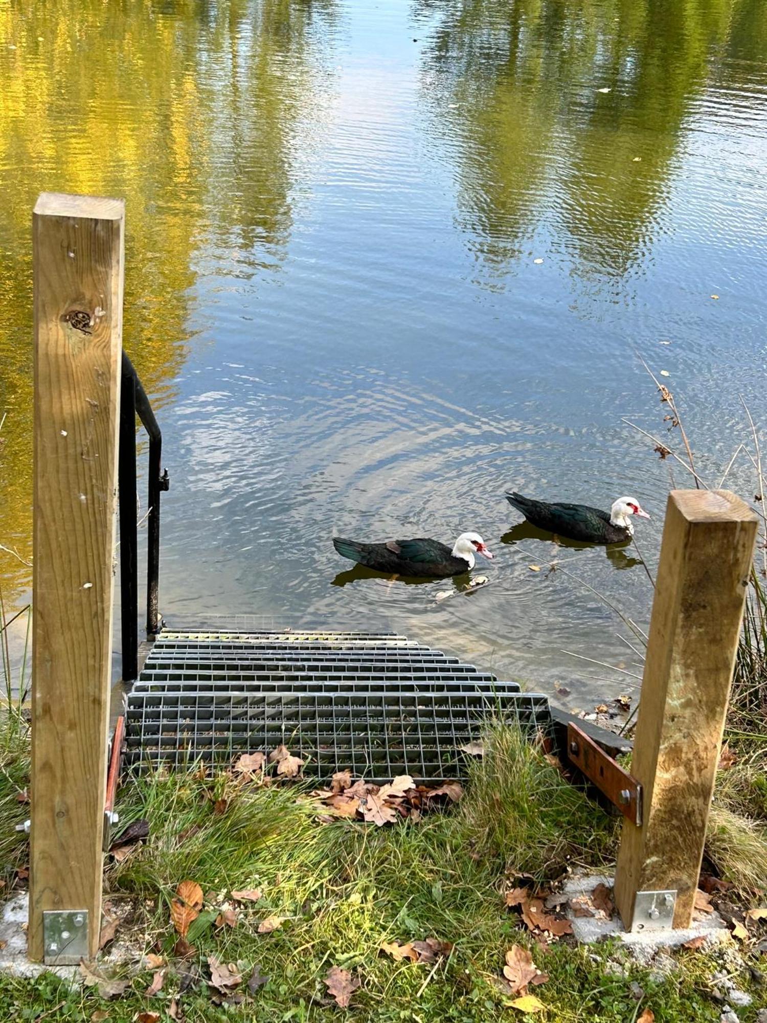 Farm Stay Happy Dogs Ranch Veberöd Zewnętrze zdjęcie