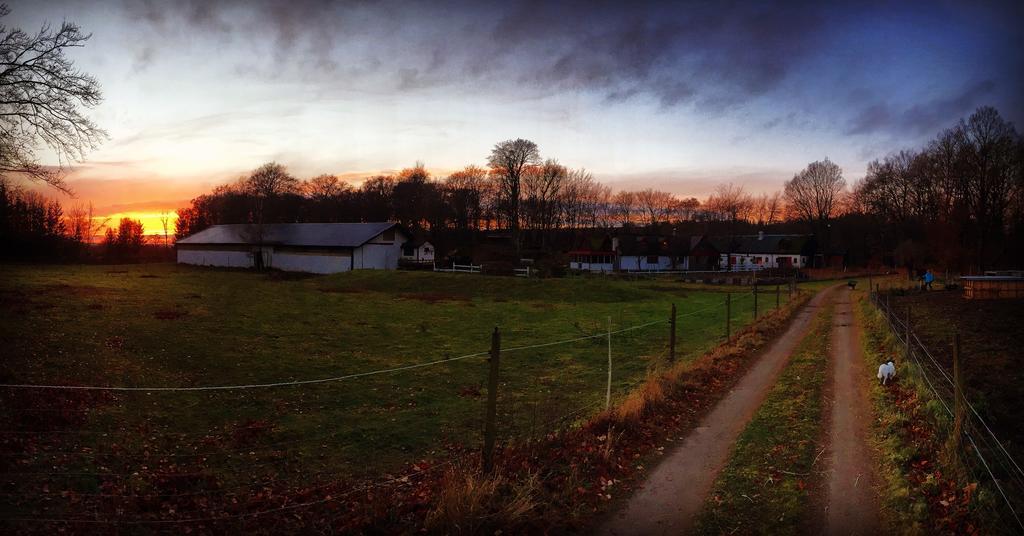Farm Stay Happy Dogs Ranch Veberöd Zewnętrze zdjęcie