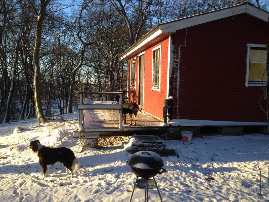 Farm Stay Happy Dogs Ranch Veberöd Zewnętrze zdjęcie