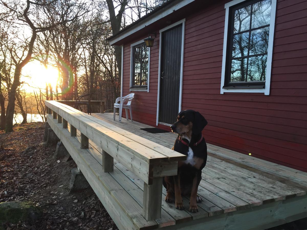 Farm Stay Happy Dogs Ranch Veberöd Zewnętrze zdjęcie