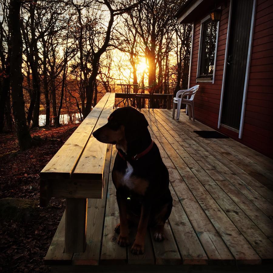 Farm Stay Happy Dogs Ranch Veberöd Zewnętrze zdjęcie